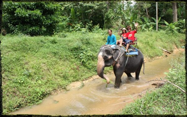 ATV Tour