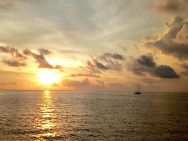 Coral Sunset By Catamaran
