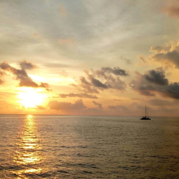 Coral Sunset By Catamaran