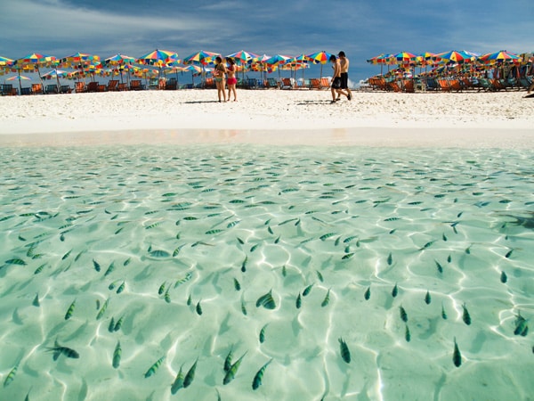 Khai Island Half Day By Catamaran